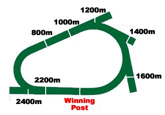 Hobart Racecourse .